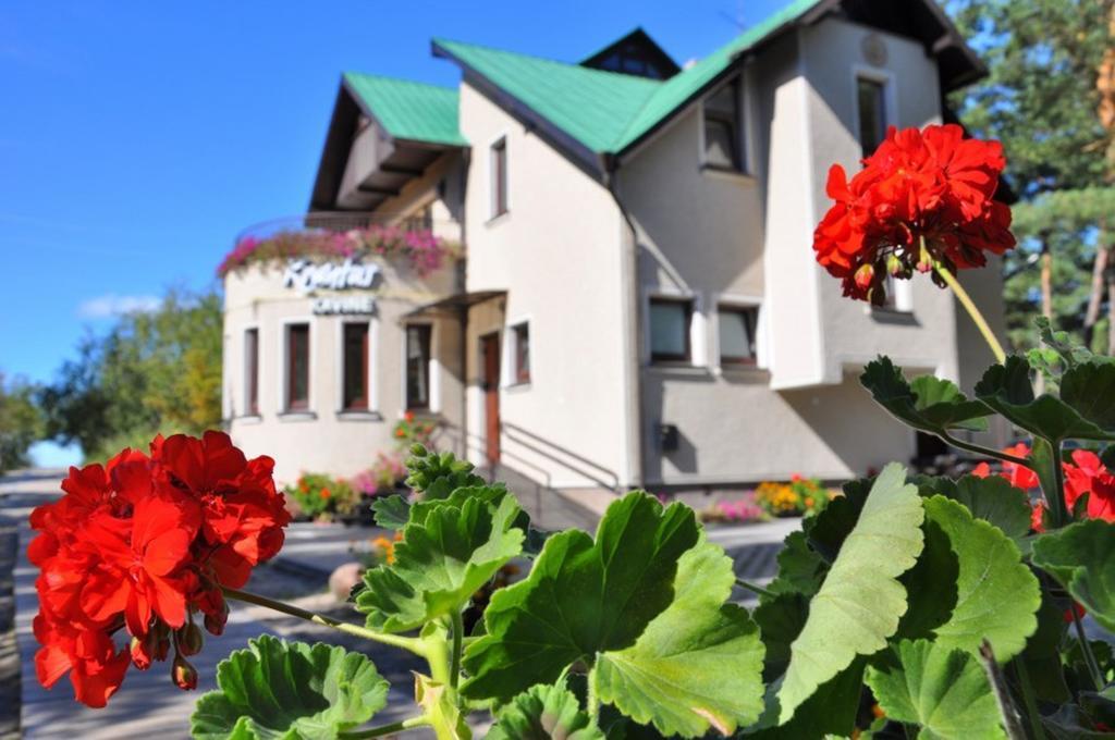 Vila Krantas Palanga Exteriör bild