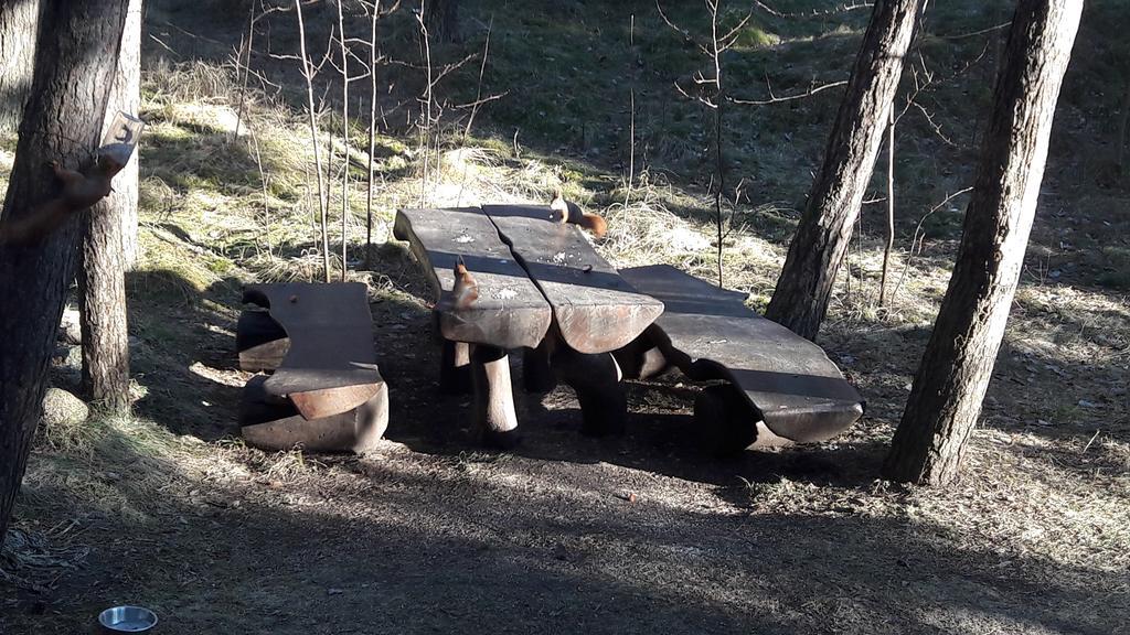 Vila Krantas Palanga Exteriör bild
