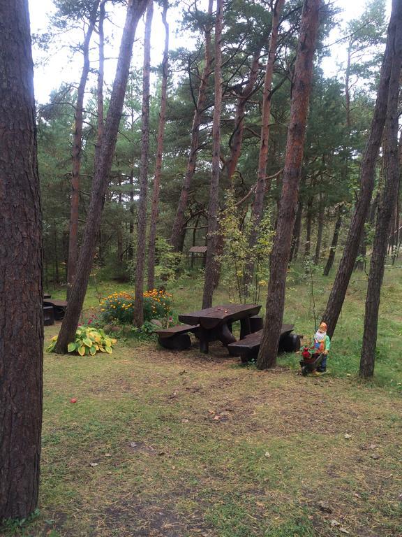 Vila Krantas Palanga Exteriör bild